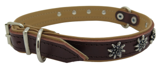 Halsband Edelweiss 25mm (16206)